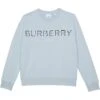 Burberry Kids Eugene B Sweatshirts (Little Kids/Big Kids) 2 Burberry Kids Eugene B Sweatshirts (Little Kids/Big Kids) -Burberry 51maGZiVAWL. AC SR736920