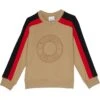 Burberry Kids Rickton Sweater (Toddler/Little Kids/Big Kids) -Burberry 614CMsmRIzL. AC SR736920